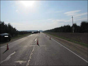 В Гродненской области cтая собак на дороге спровоцировала аварию со смертельным исходом