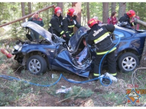 В Могилевской области VW вылетел с трассы и врезался в дерево: тяжело пострадали 3 человека